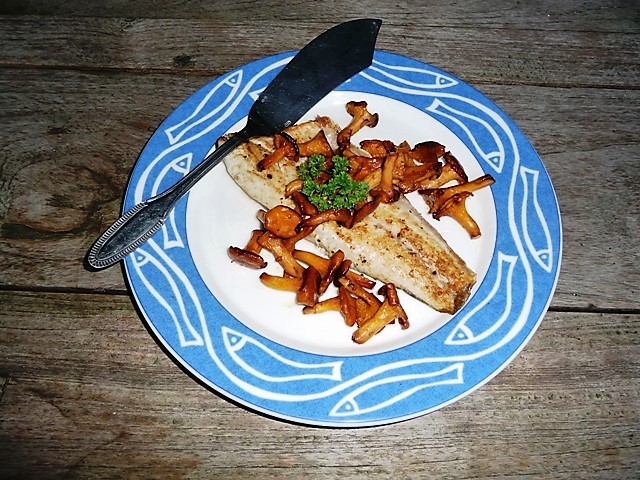 Zeebaars met cantharellen