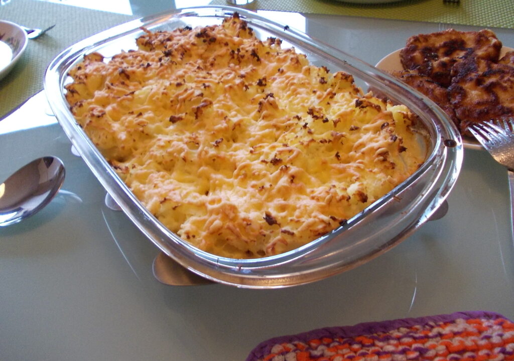 Ovenschotel witlof met champignons, ham en kaas