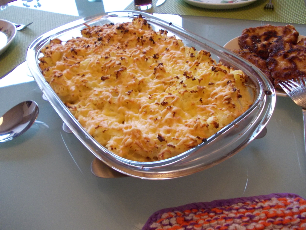 Ovenschotel witlof met champignons, ham en kaas