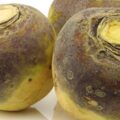 Groningse stamppot koolraap met stroop