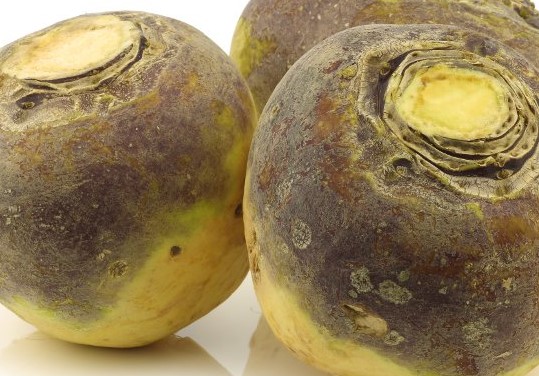 Groningse stamppot koolraap met stroop