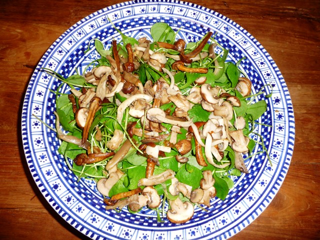 Salade van winterpostelein, paddenstoelen, linzen, appel, noten, kaas