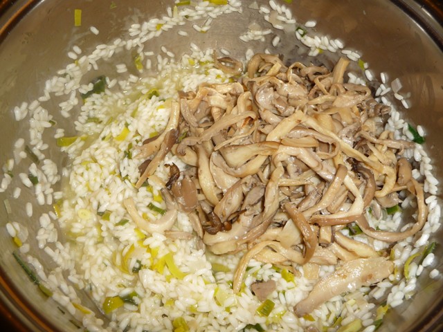 Risotto met oesterzwammen en zalm