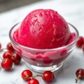 Aalbessensorbet