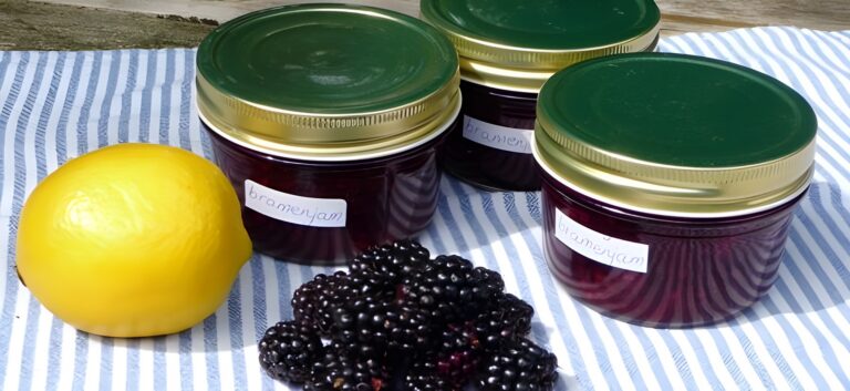Bramenjam (Basisrecept)