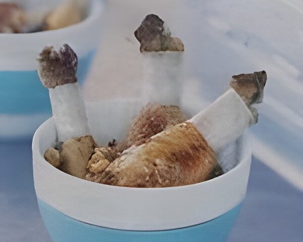 Griekse Tapas kipdrumsticks met honingpruimen en walnoten