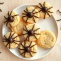 Halloweenspinnen