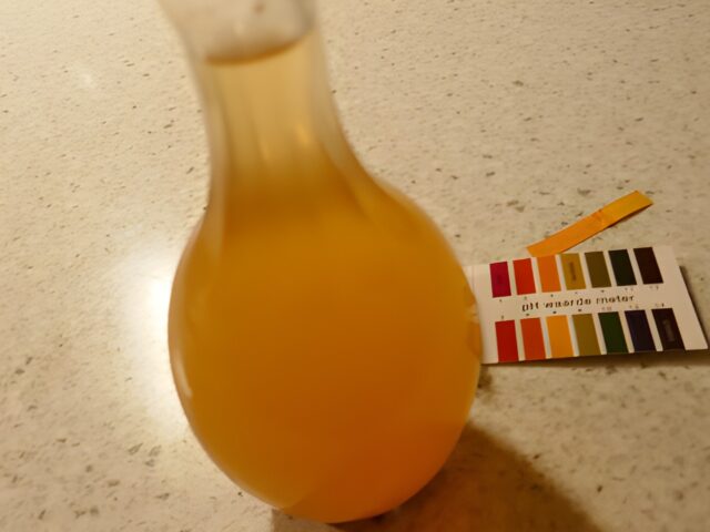 Zelf appelazijn maken