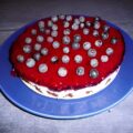 Kwarktaart met stracciatella en frambozen