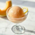Meloensorbet 2