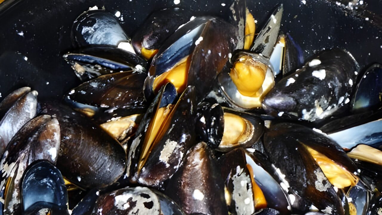 Mosselen op Griekse wijze met feta en ouzo