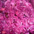Rode kool met appel en cranberry’s