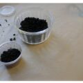 Smakelijk Zwart Olijven – Crumble – Poeder