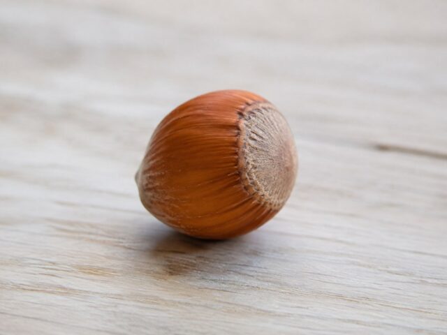 hazelnoot, ingredient bij KookJij