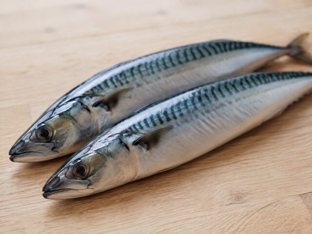 makreel, ingredient bij KookJij