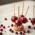 Lolly ( lollie) van cranberry paté