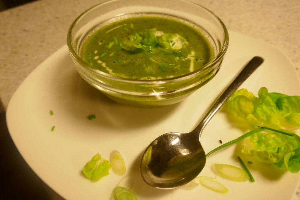 Vegetarisch kropsla soepje