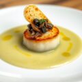Velouta, coquille, duxelles en een tuille van oude kaas