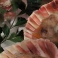 Carpaccio van gemarineerde portobello en venkel