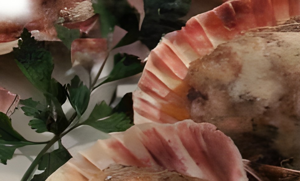 Carpaccio van gemarineerde portobello en venkel