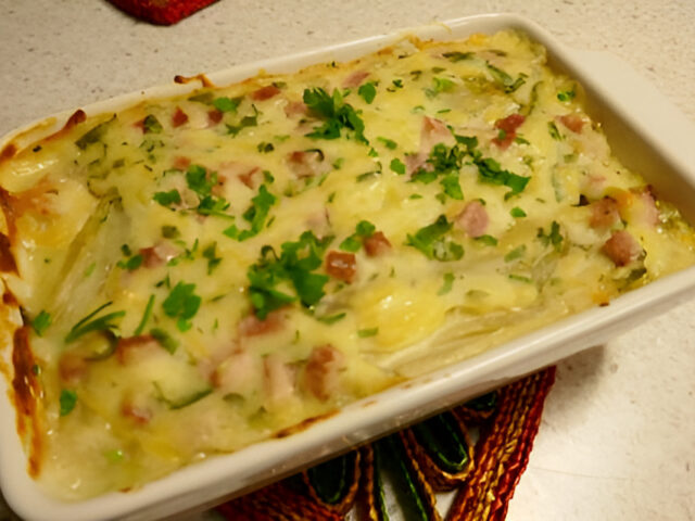 Ovenschotel met witlof afgetopt met een bechamelsaus met ham en kaas.