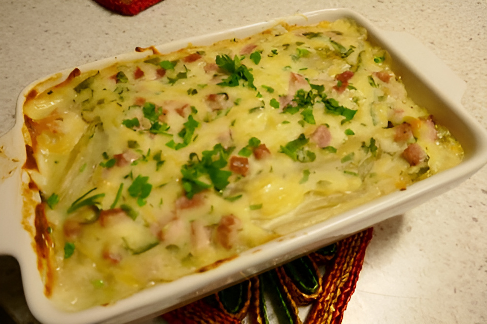 Ovenschotel met witlof afgetopt met een bechamelsaus met ham en kaas.