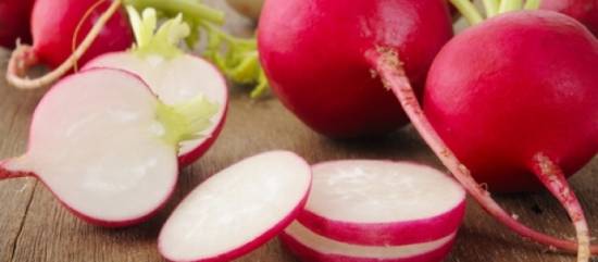 Radijsjes in een knoflookdressing (tapas)