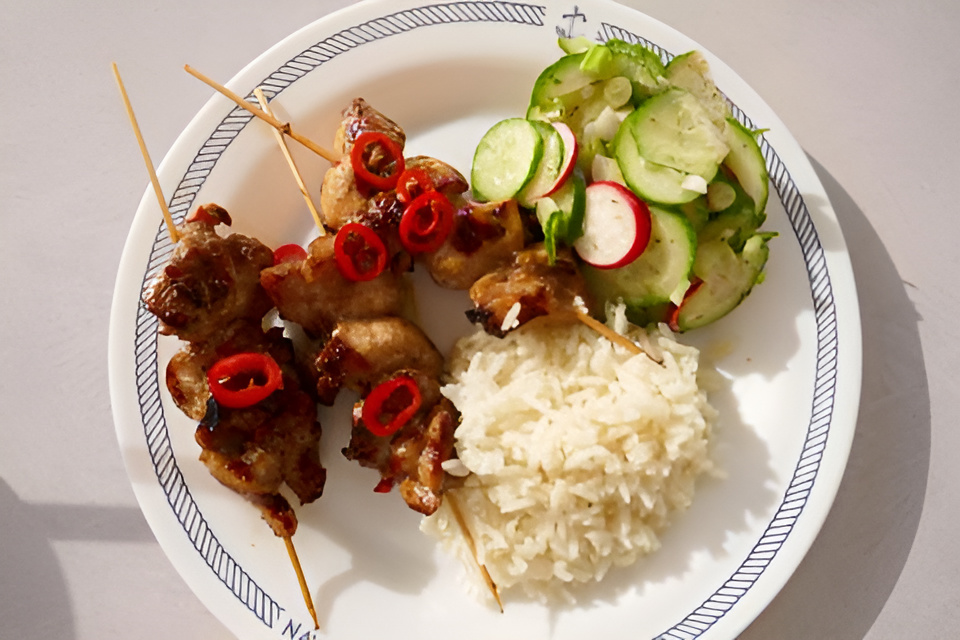 Super Malse Oosterse Kippendijspiesjes van de BBQ, of uit de grillpan.